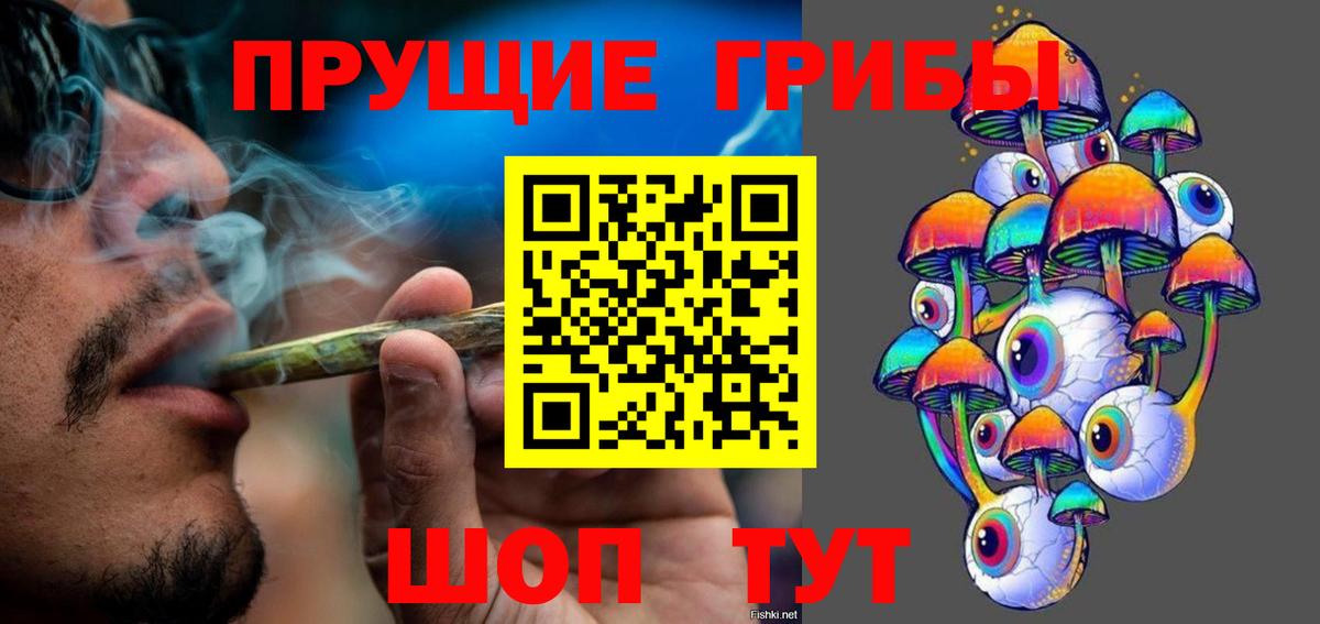 Псилоцибиновые грибы Psilocybine cubensis Дальнереченск